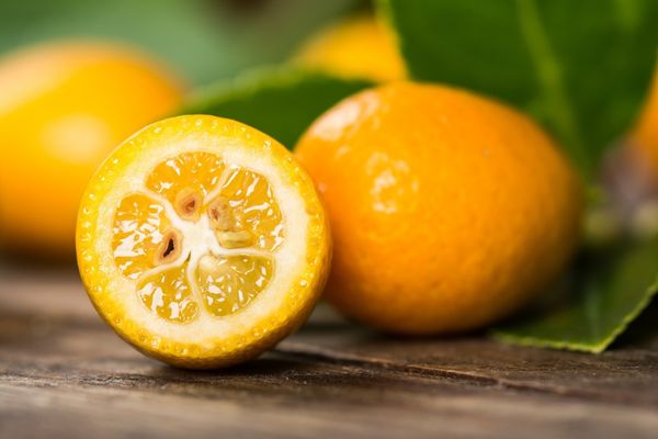 Quất chứa nhiều vitamin C giảm triệu chứng viêm họng hạt ở lưỡi